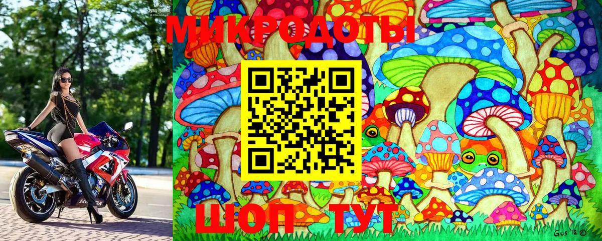 сколько стоит  Псилоцибиновые грибы MAGIC MUSHROOMS  Вход с VPN  Галлюциногенные грибы GOLDEN TEACHER  Калининград 